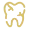 Bone injert